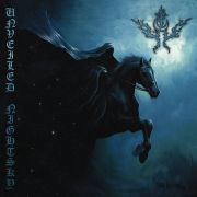 Winter Eternal: Unveiled Nightsky