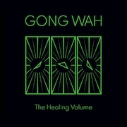 DVD/Blu-ray-Review: Gong Wah - The Healing Volume – die zweite
